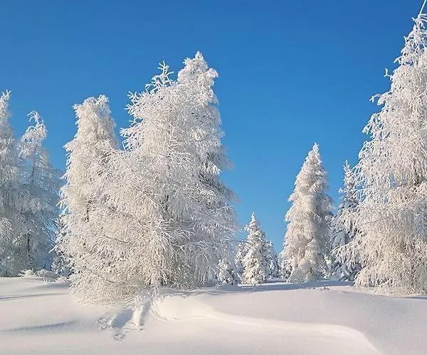 Appartement Haus Hennecke *